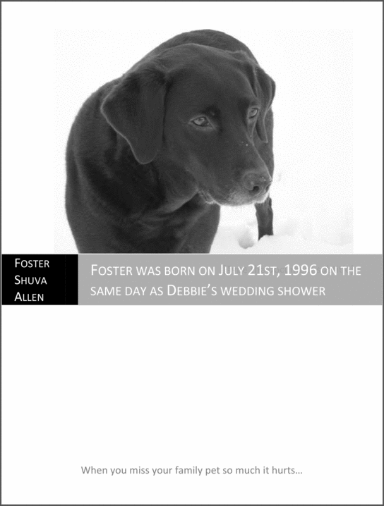 Product picture Biography Foster Shuva Allen - The Love Dog